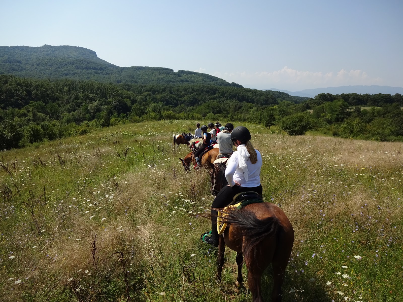 Wanderritt im Nationalpark Zentralbalkan in Bulgarien / Anreise und Tag 1