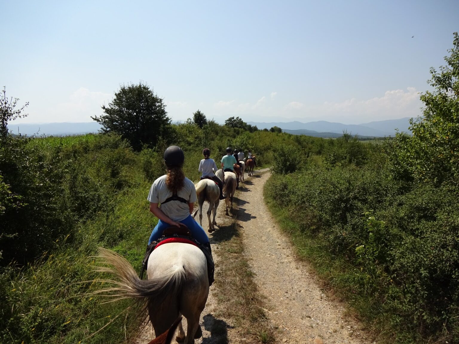 Blick über den Hals des Pferdes auf einen sandigen Feldweg mit Reitern, rechts öffnet sich die Ebene bis zu den Bergen am Horizont