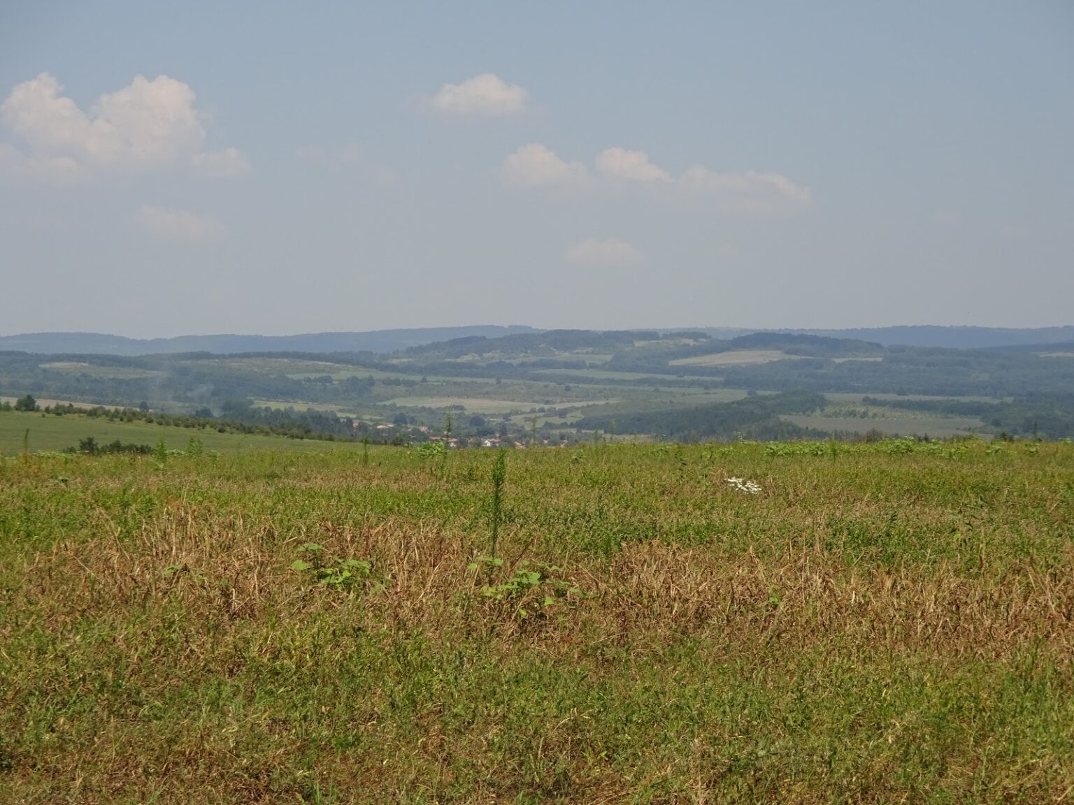 Weite abgeerntete Wiese mit Blick hinunter ins Tal, in dem der Hof liegt, an dem der Ritt begonnen hat