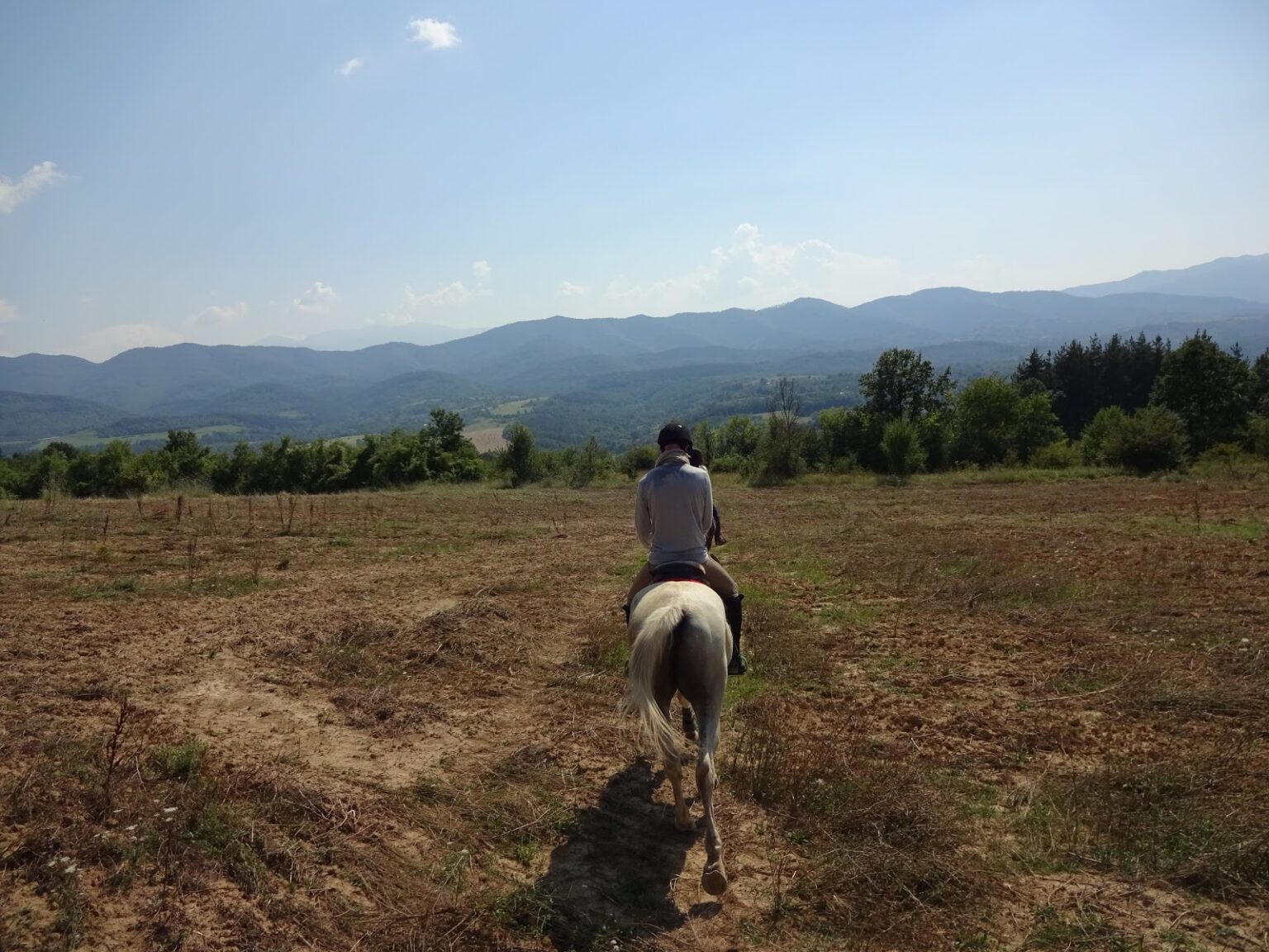 Einzelner Reiter auf einem abgeernteten Feld, dahinter die Kette des Balkangebirges unter blauem Himmel