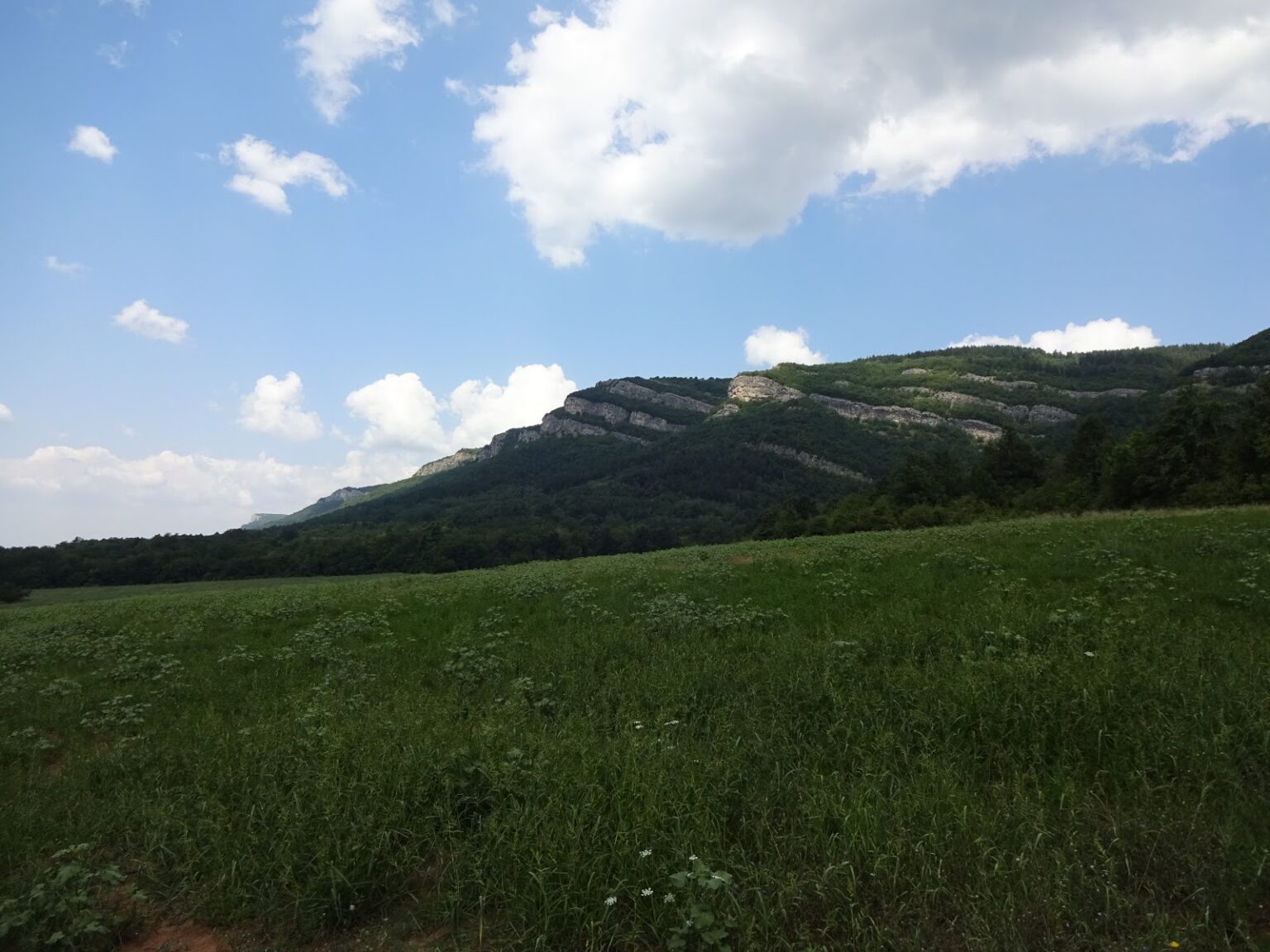 Blick über eine grüne Wiese auf ein langgestrecktes bewaldetes Felsplateau unter blauem Himmel
