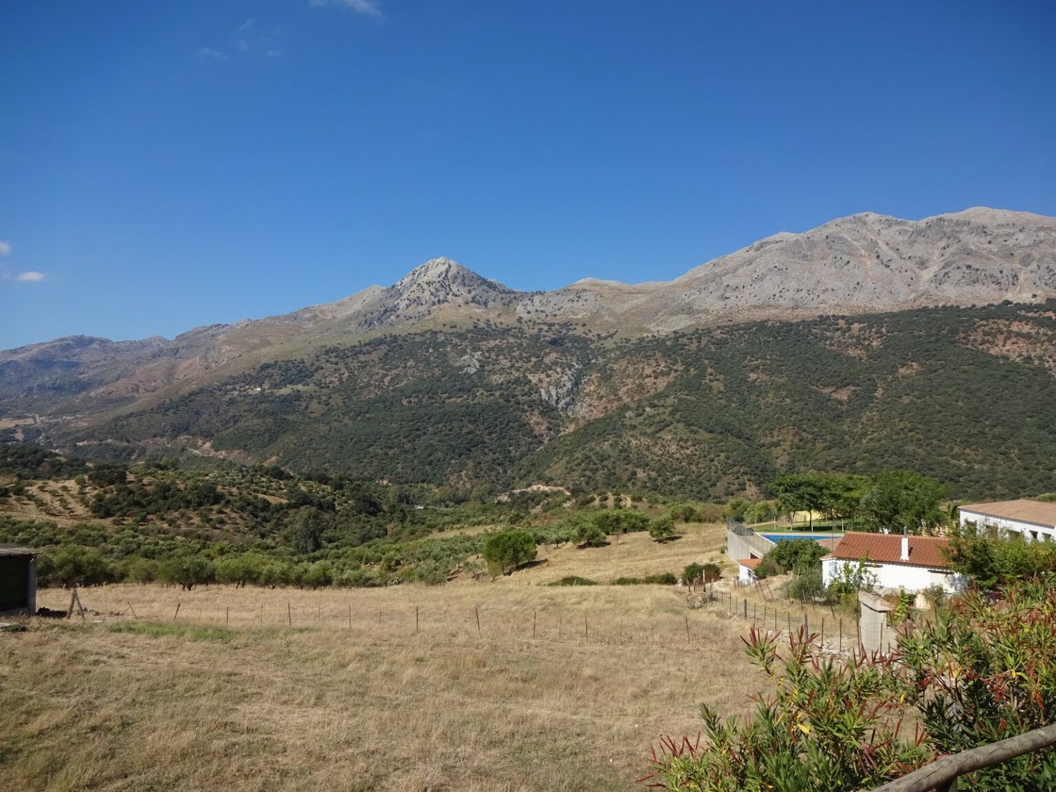 Blick von der Ranch über trockenes Weideland auf die kahle Bergkette der Serranía de Ronda