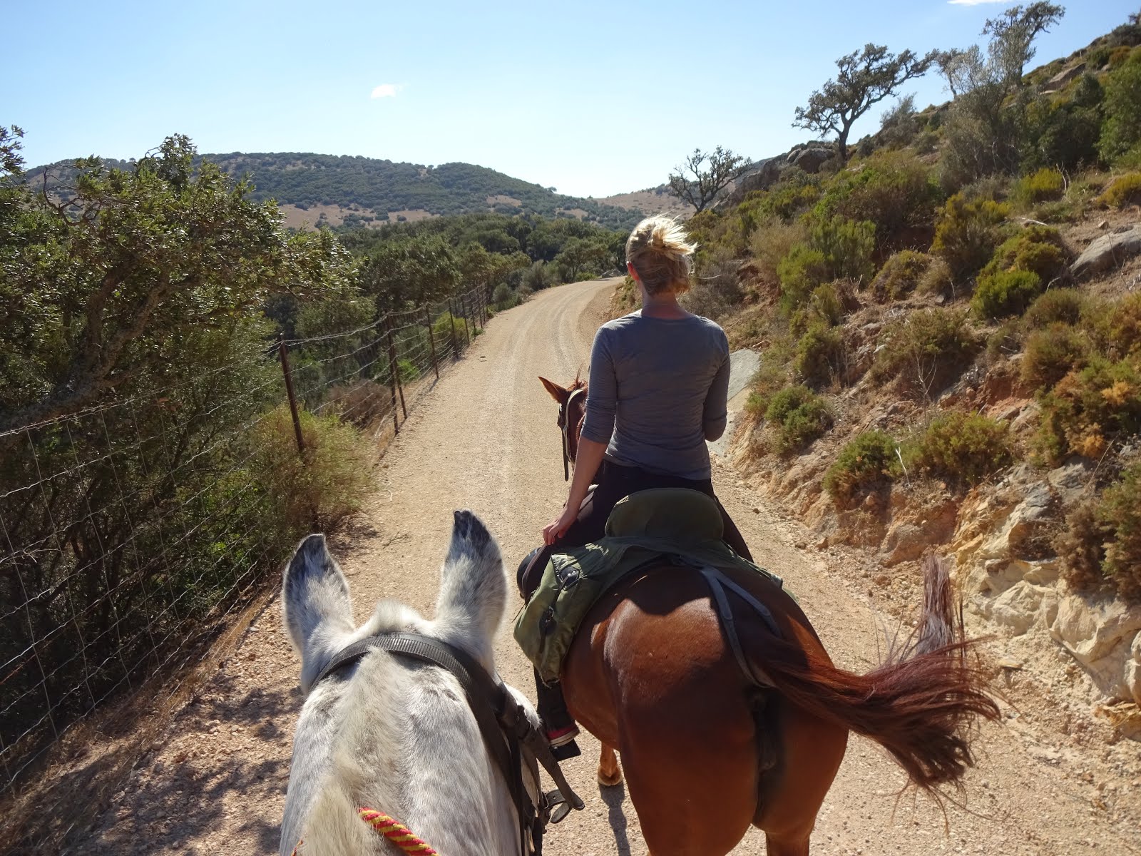 Rondatrail Andalusien