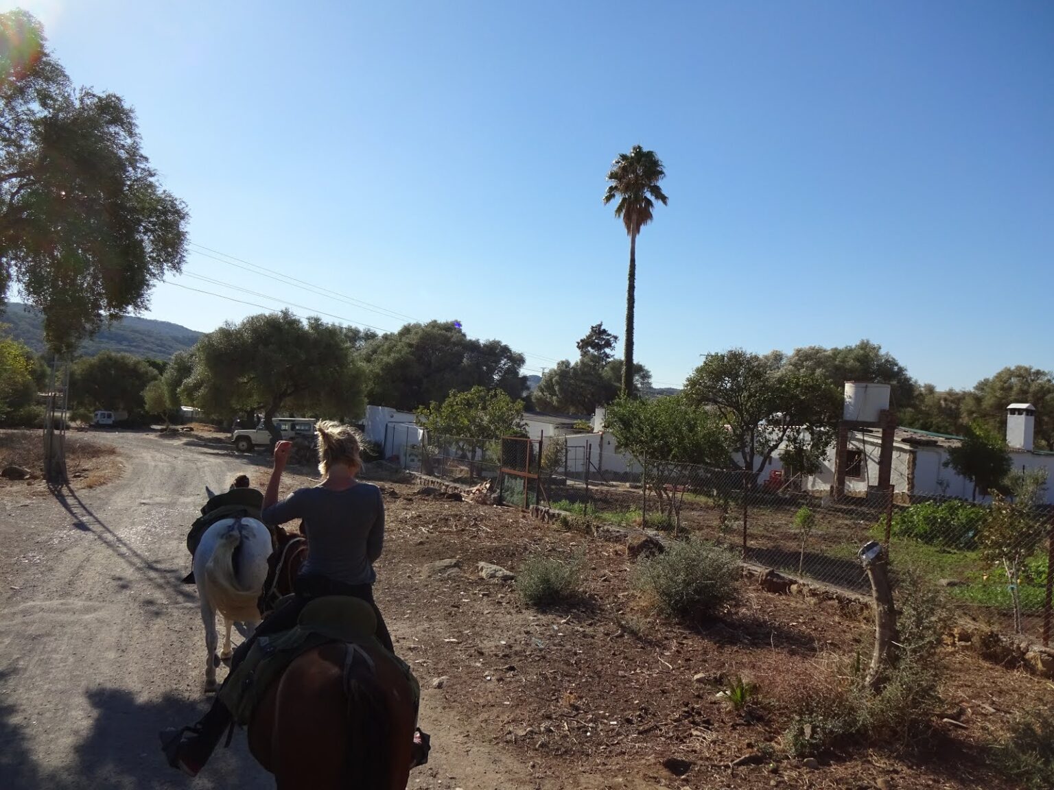 Ortseinfahrt von Alcalá de los Gazules mit Palmen und weißen Häusern, aus dem Sattel gesehen