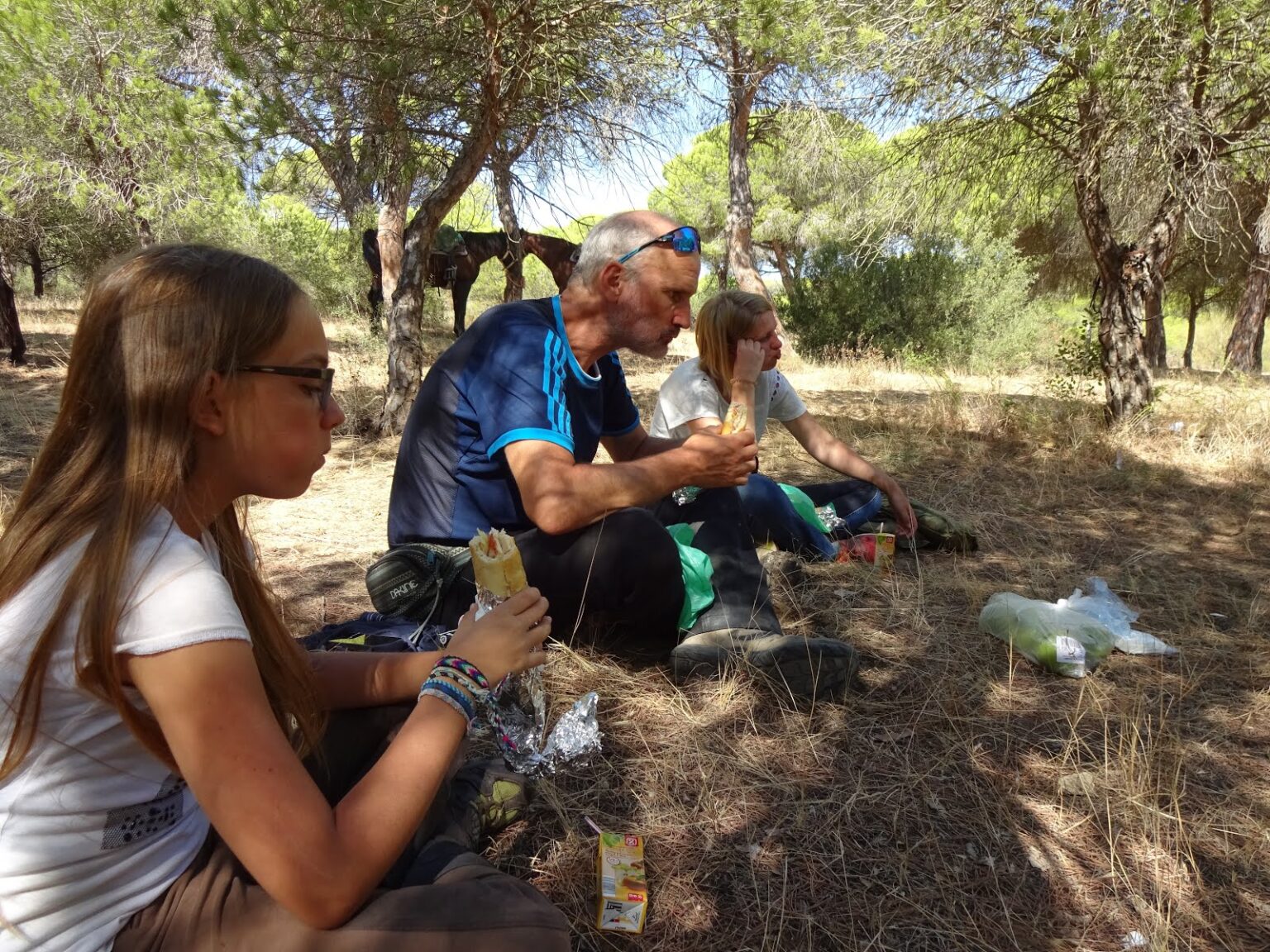 Reisende sitzen im Halbkreis beim Picknick unter den Pinien