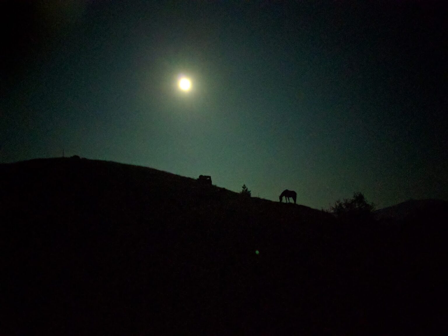 Vollmond über einer dunklen Bergkuppe, am unteren Bildrand sind zwei Pferde als Silhouetten zu erkennen