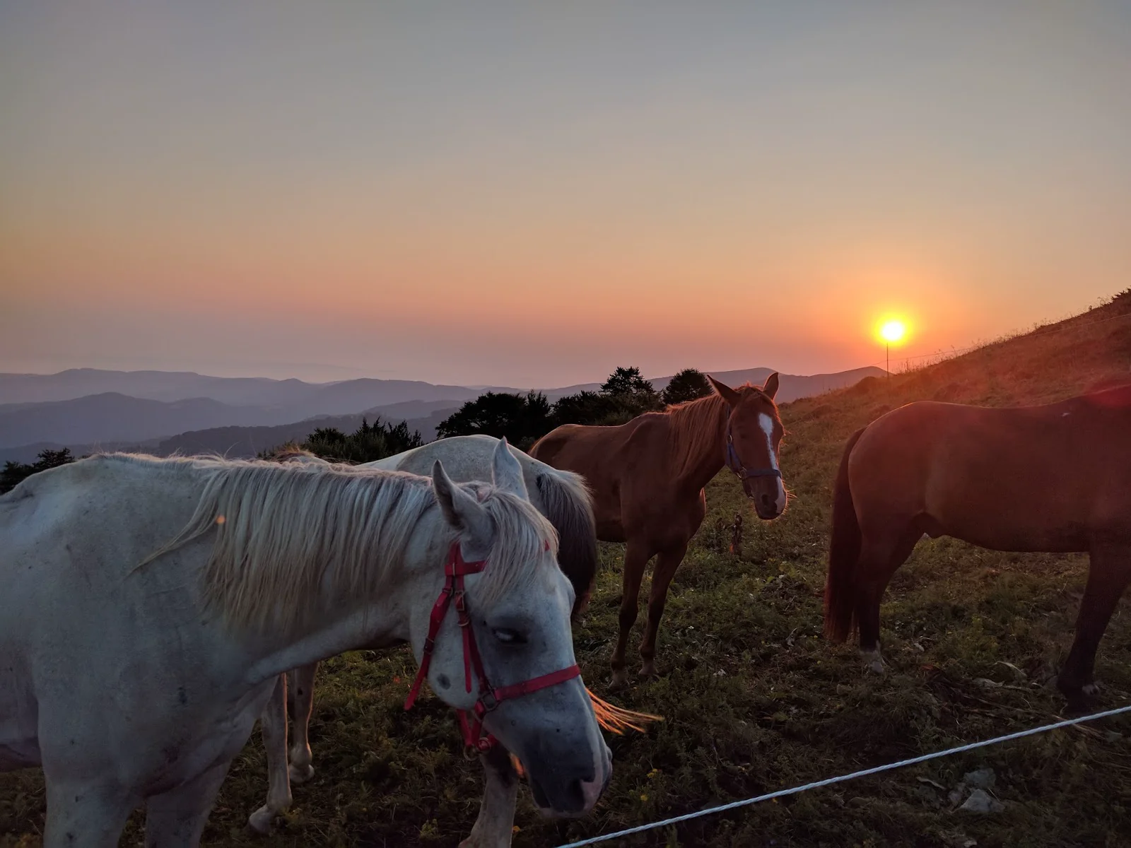 Balkantrail Bulgarien – Tag 4: Sonnenaufgang, Gipfelwanderung und Höhenritt