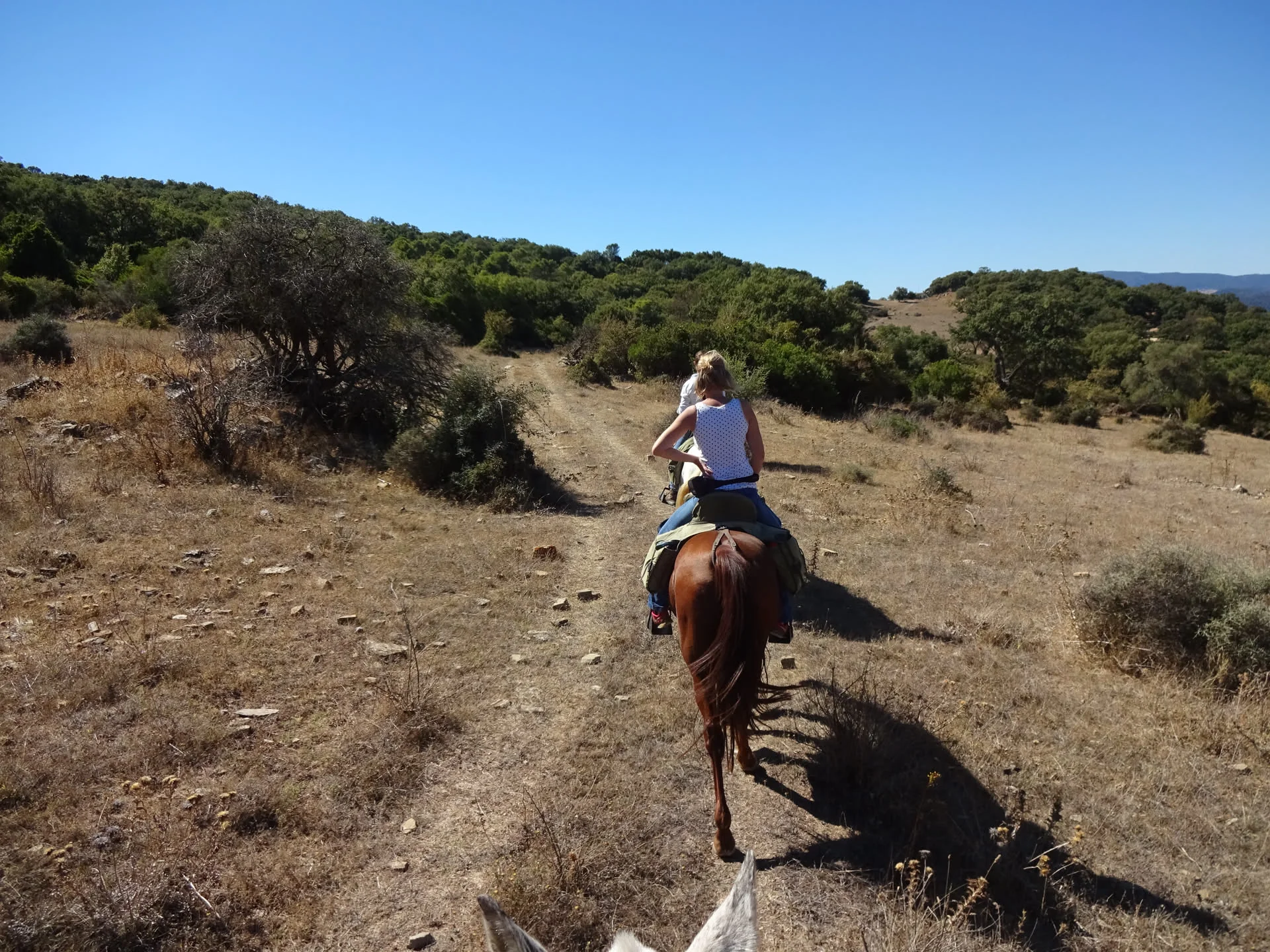 Rondatrail Andalusien – Tag 2: Durch die Korkeichenwälder von Los Alcornocales