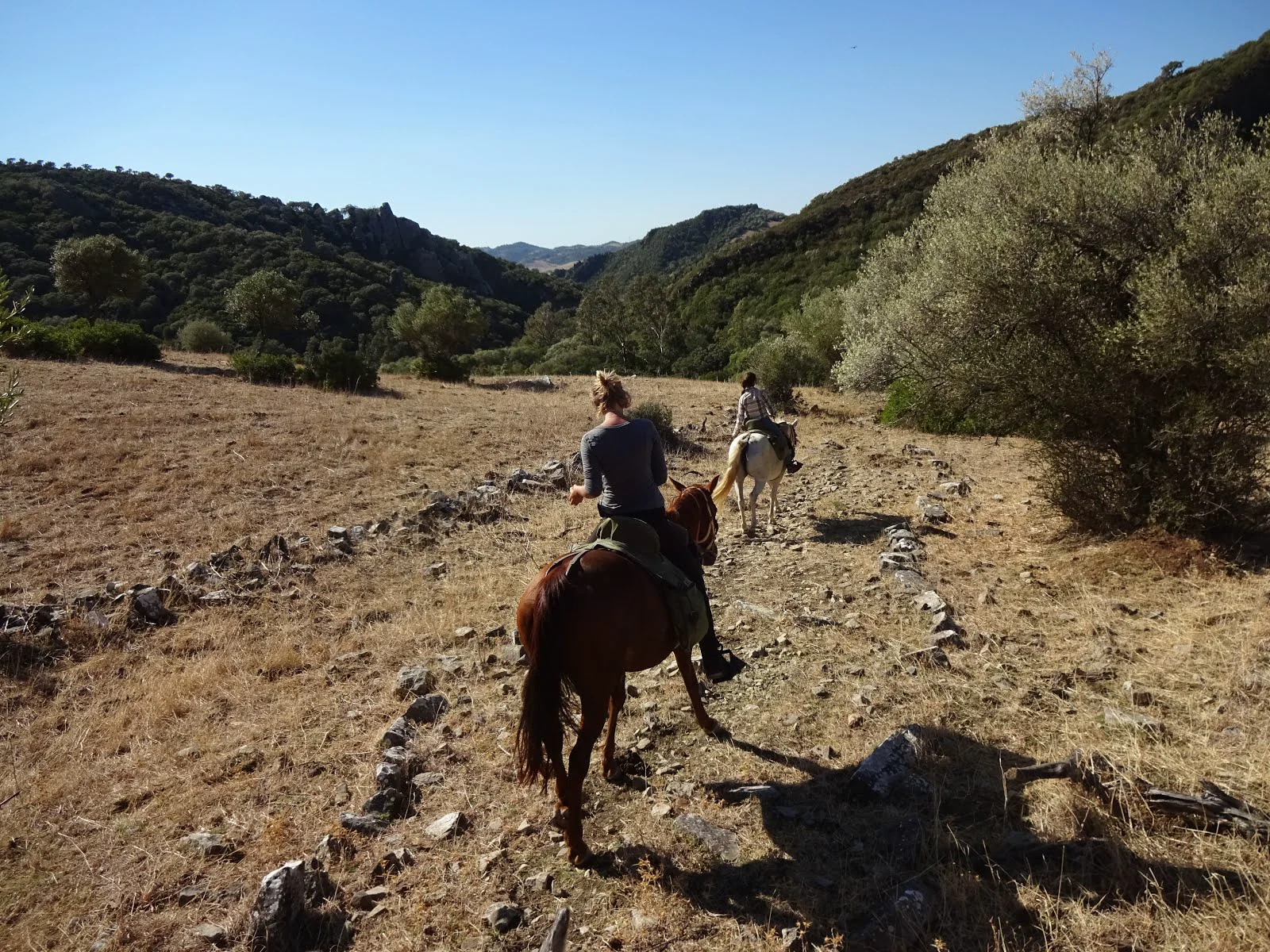 Rondatrail Andalusien – Tag 3: Maultierherde, Engpass und Alcalá de los Gazules