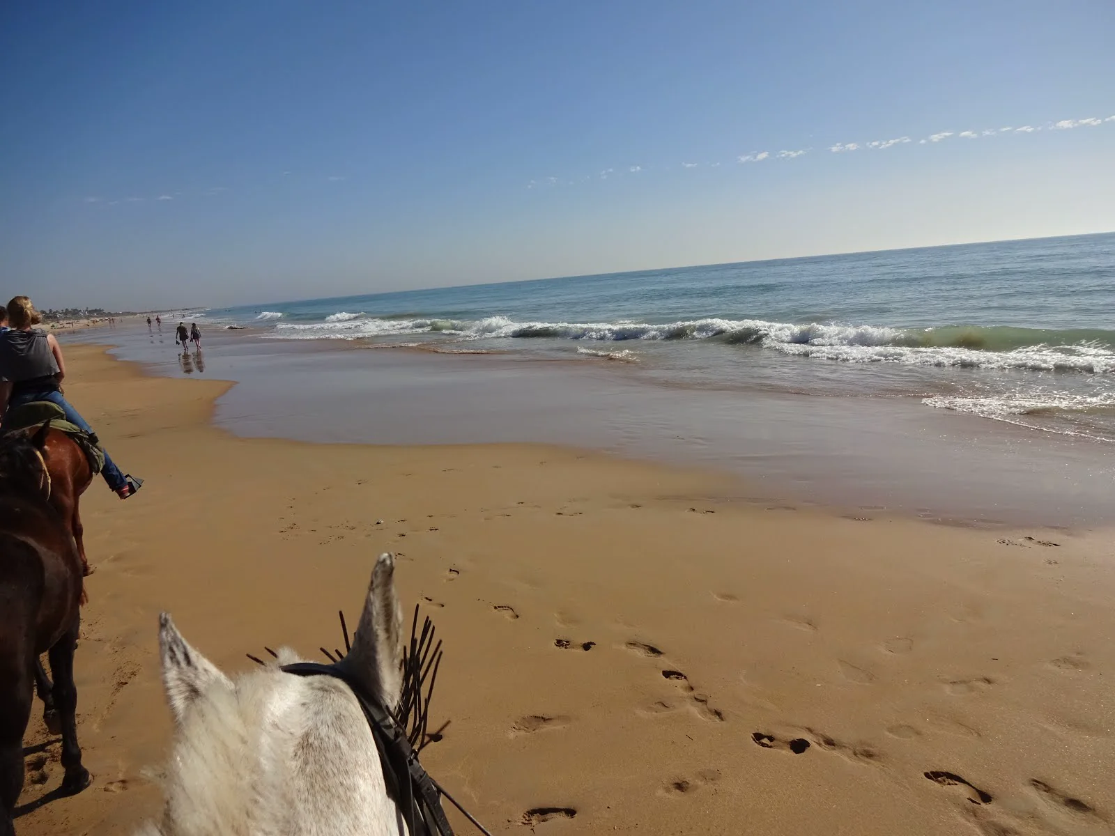 Rondatrail Andalusien – Tag 5: Durch die Stierweiden ans Meer