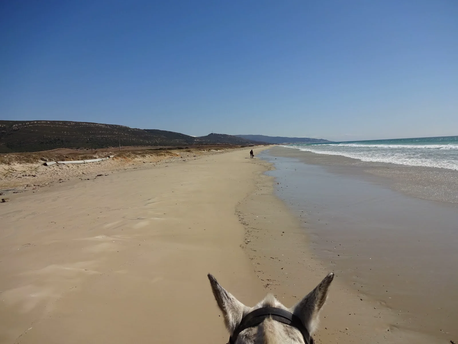 Rondatrail Andalusien – Tag 6: Pinienwald, Barbate und der Strandgalopp