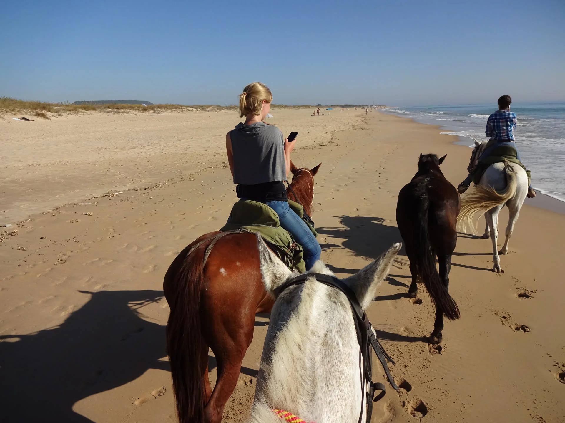 Reitergruppe am Sandstrand der Costa de la Luz, Blick zwischen den Ohren des eigenen Schimmels; vorn eine Reiterin auf einem Fuchs, rechts ein Reiter im flachen Wasser