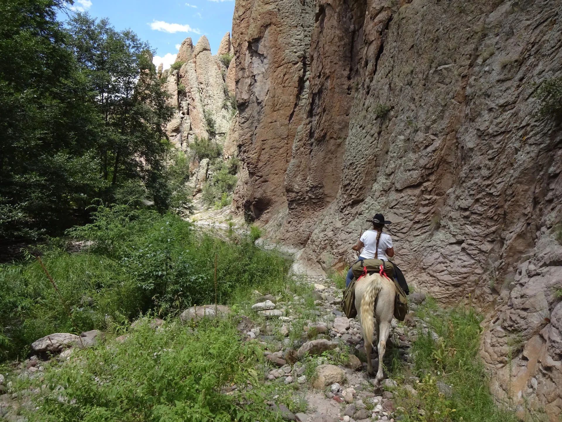 Wanderritt New Mexico – Tag 2: Dem West Fork Gila durch die Canyons folgen