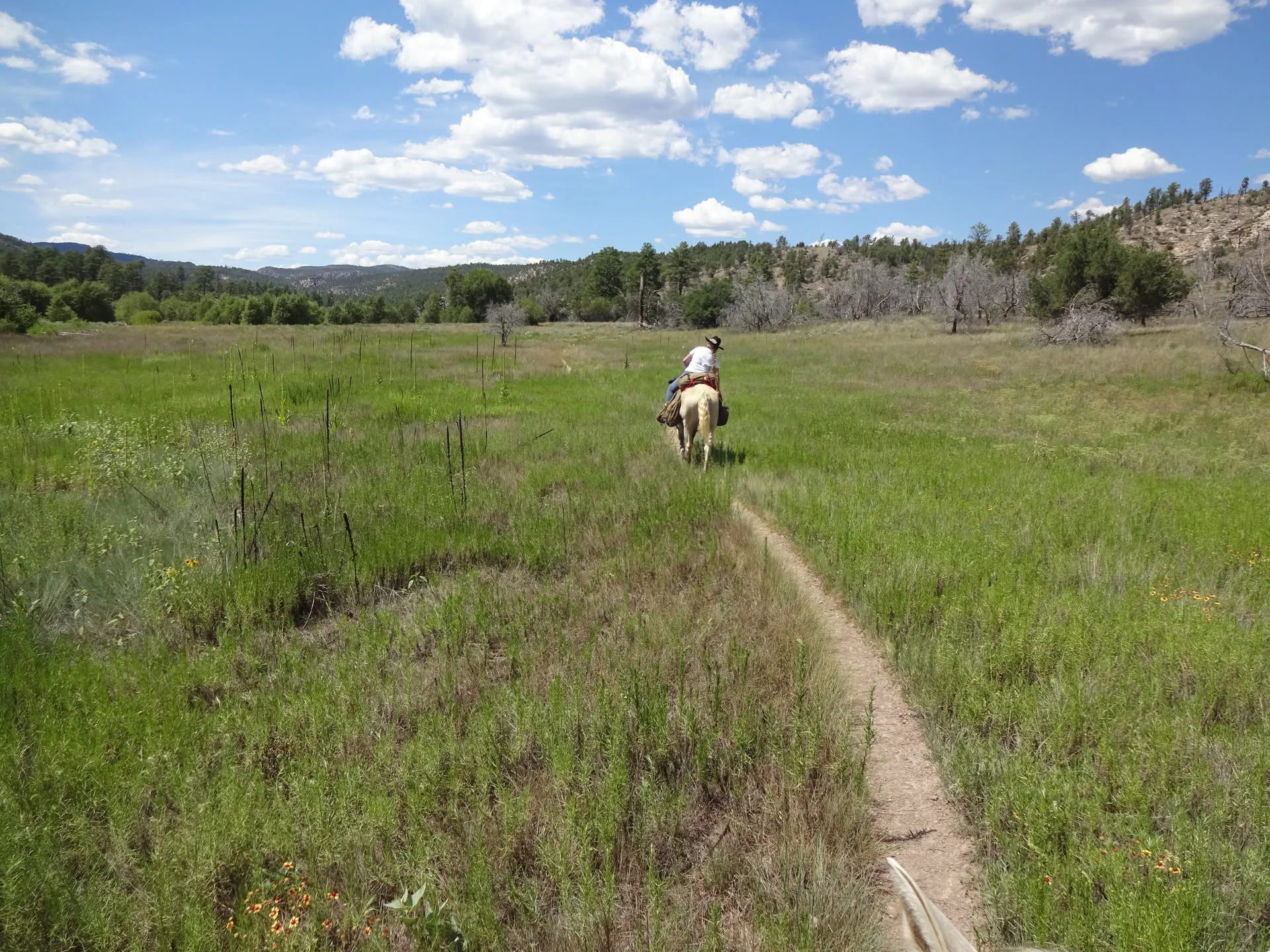 Wanderritt New Mexico – Tag 1: Von Woody’s Corral in den White Rock Canyon