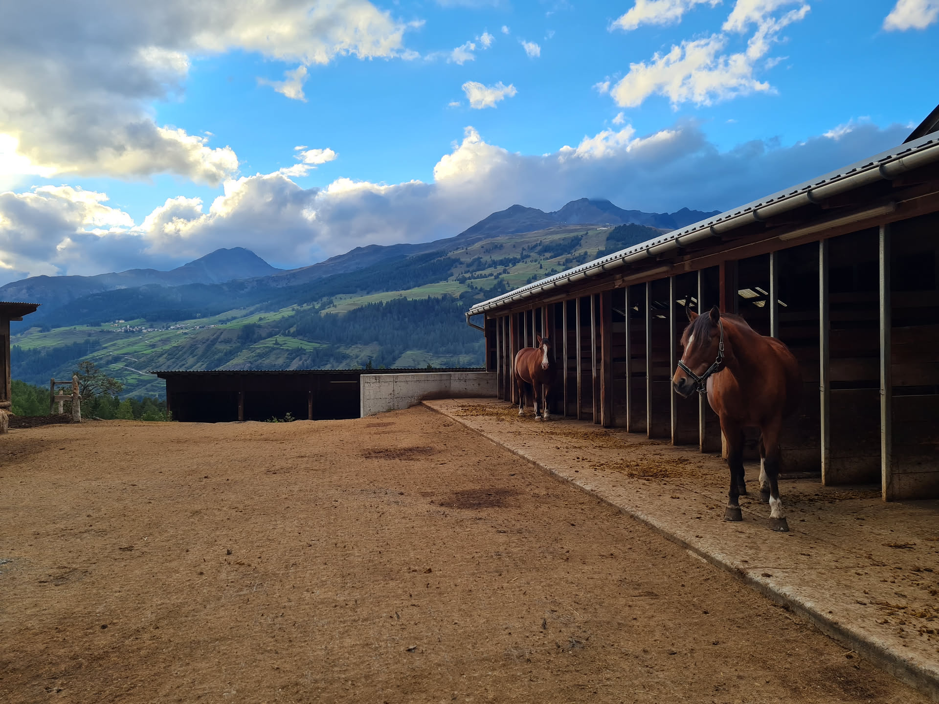 Wanderritt Toskana – Anreise