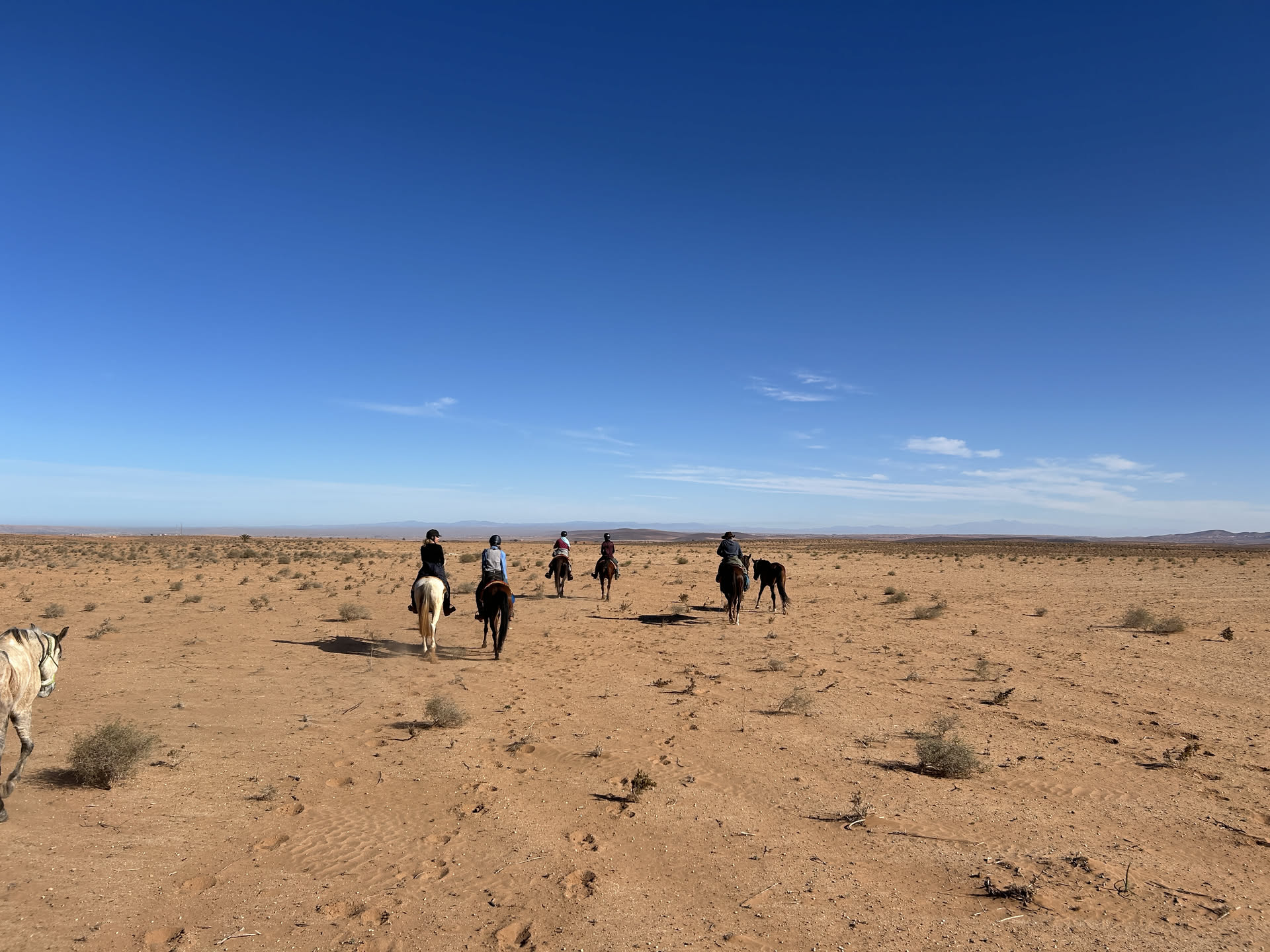 Wanderritt in Marokko – Tag 4