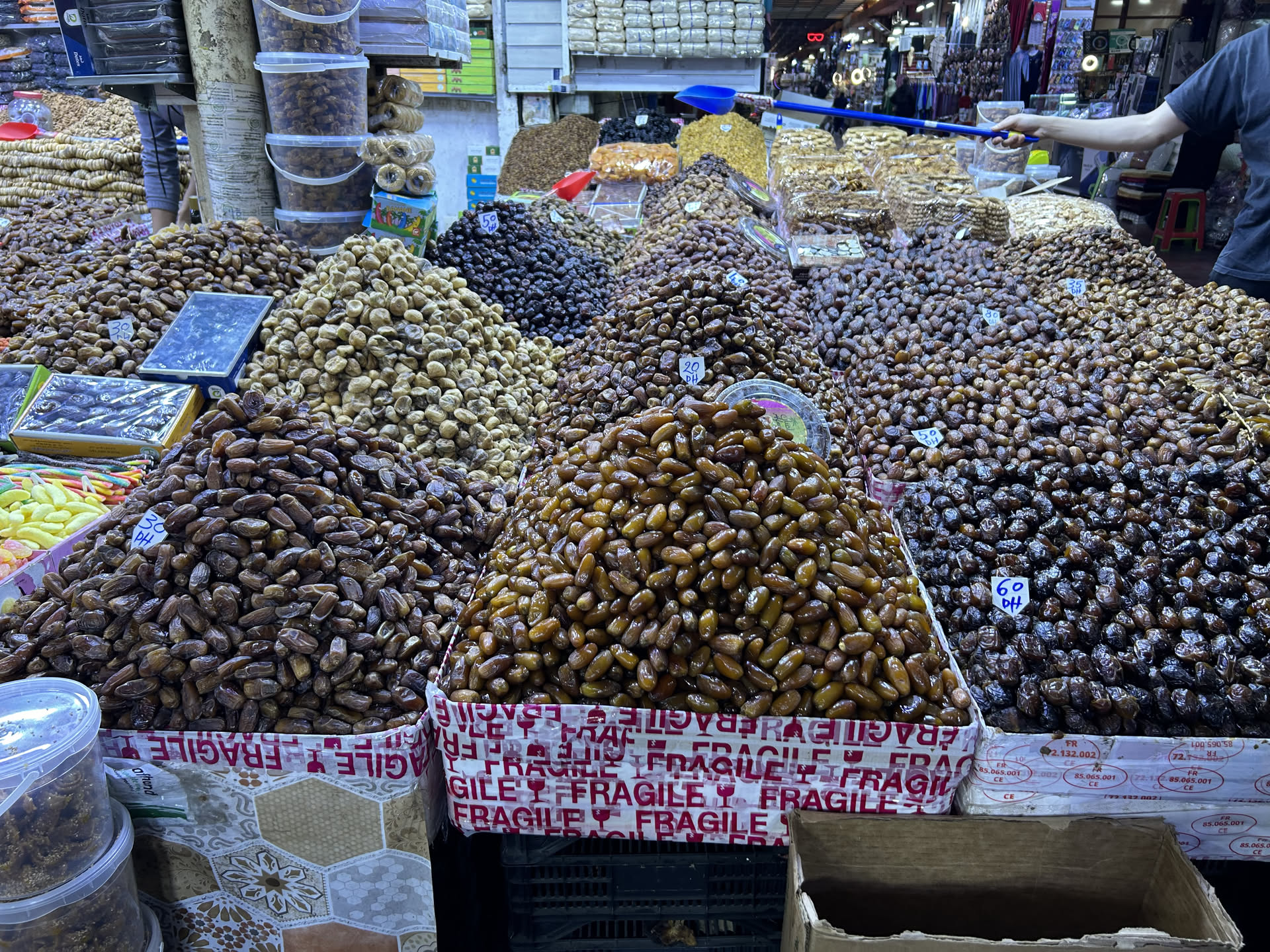 Wanderritt in Marokko – Tag 1