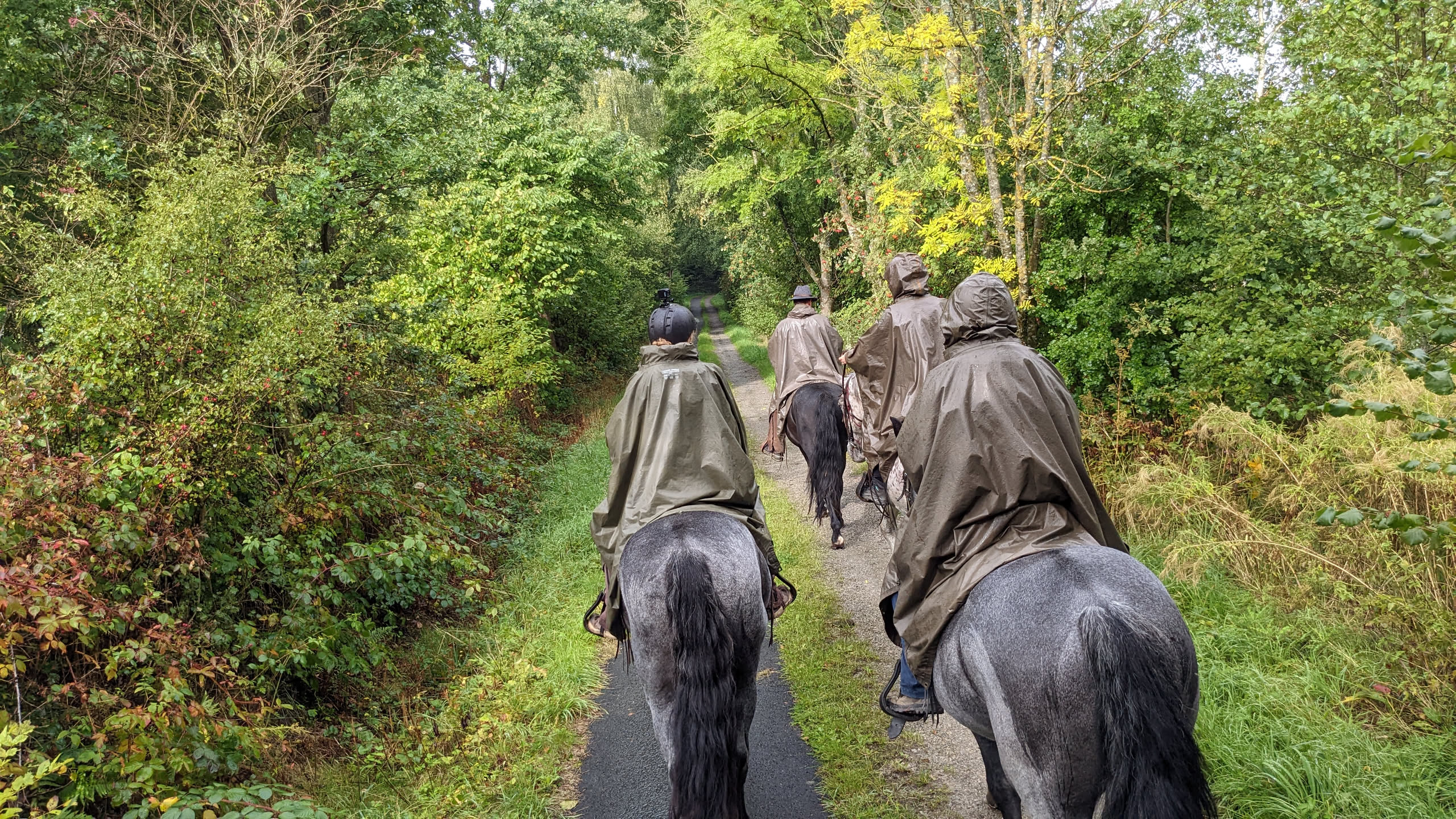 Wanderritt Toskana – Rückreise