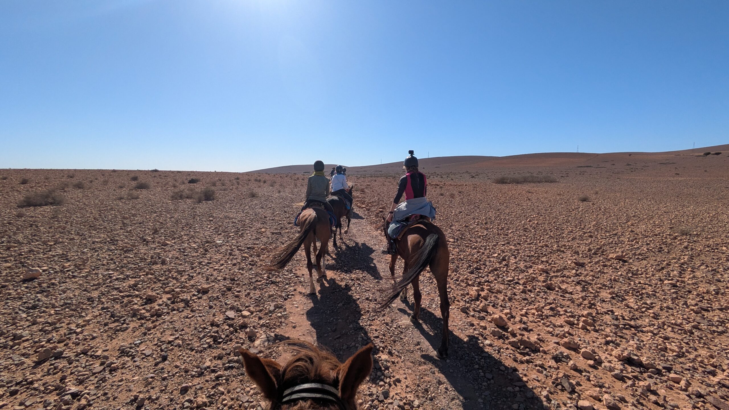 Wanderritt in Marokko – Tag 3