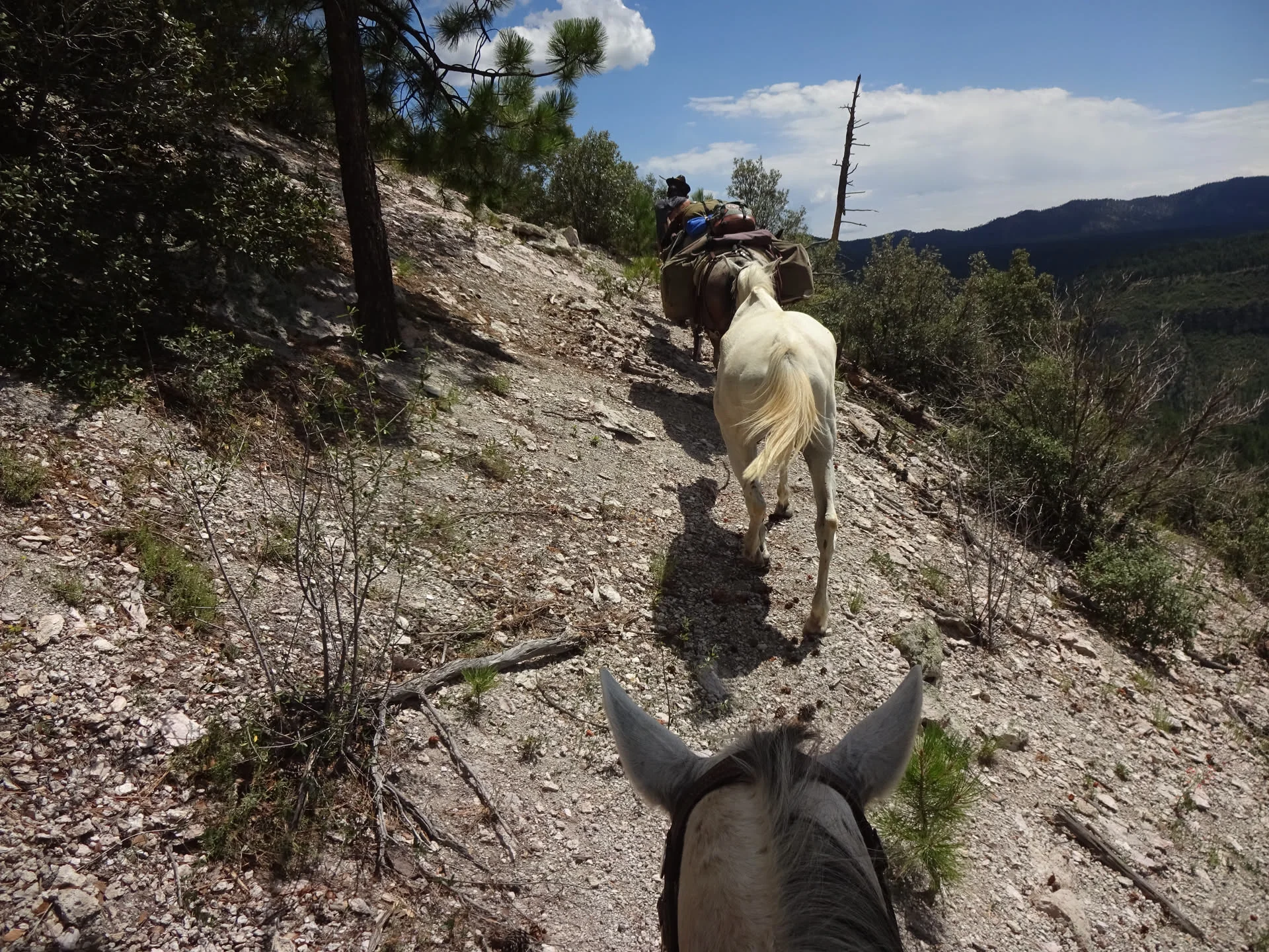 Wanderritt New Mexico – Tag 3: Aufstieg aus dem Canyon ins Hochland