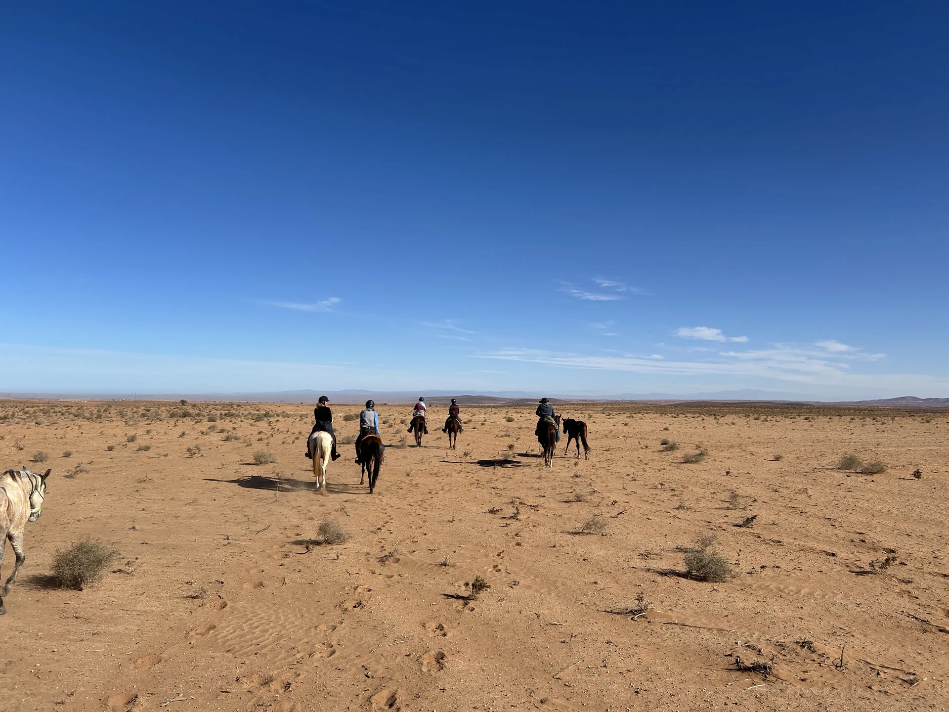 Wanderritt in Marokko – Tag 4