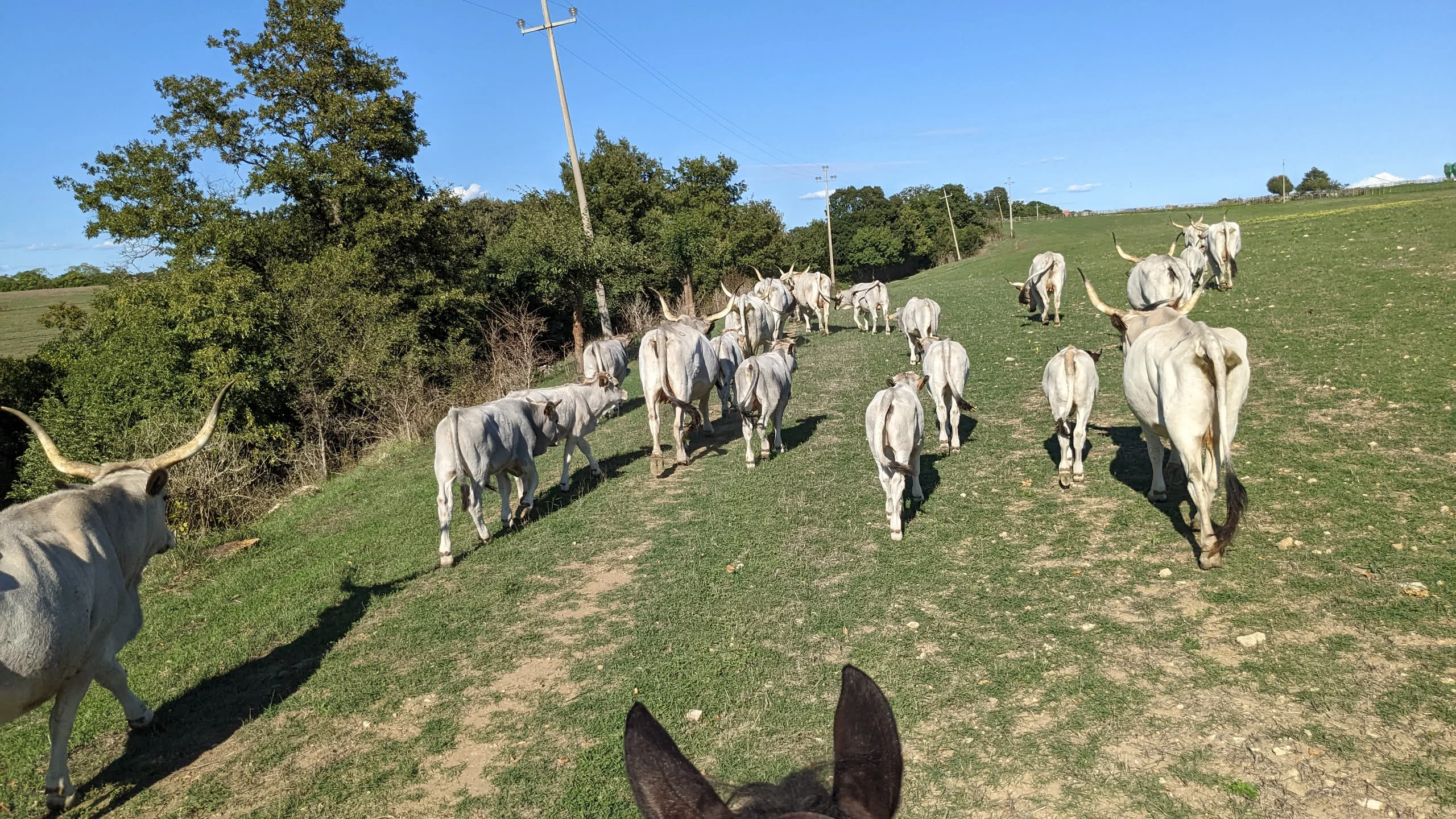 Wanderritt Toskana – Tag 4