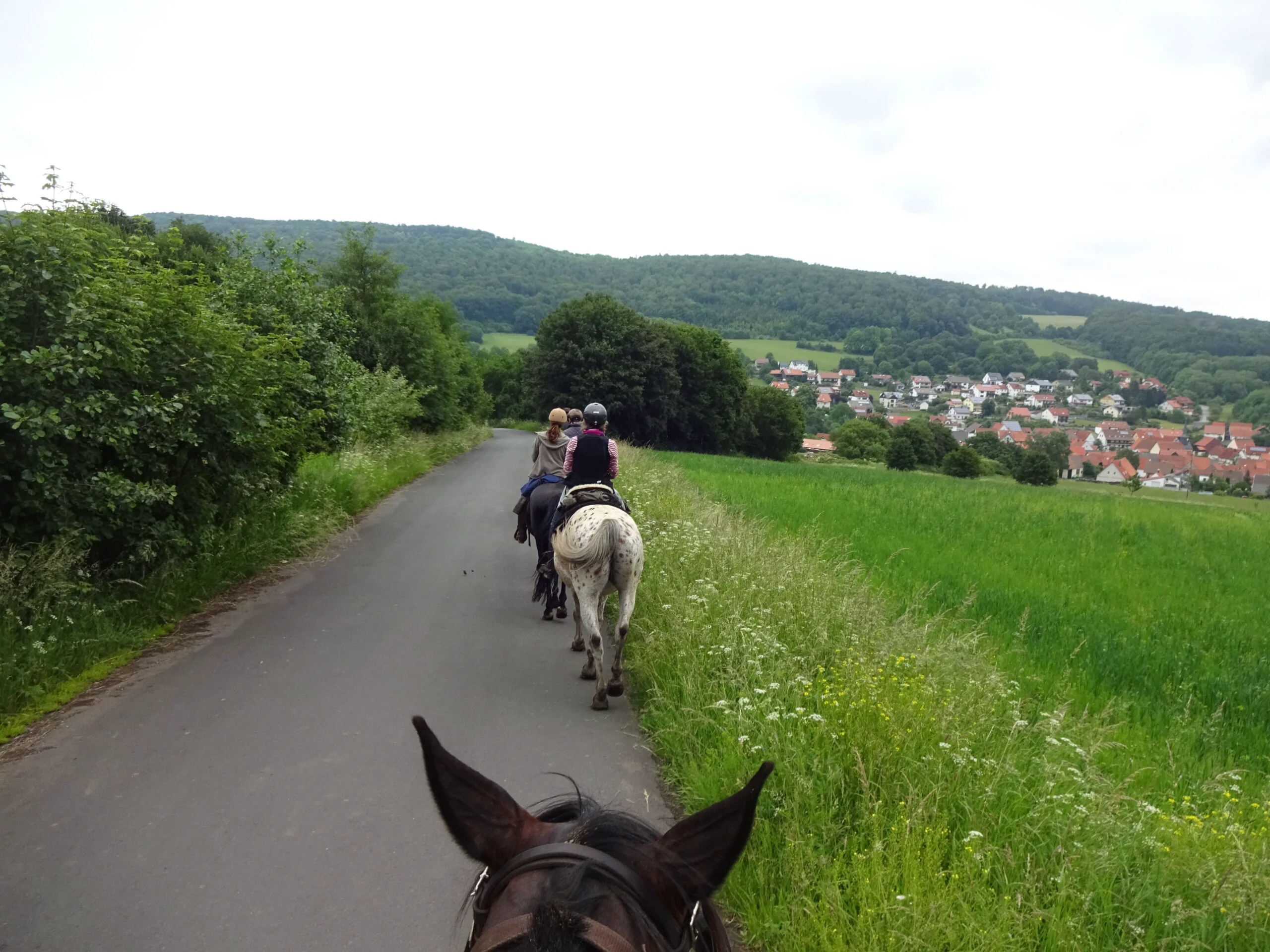 3 Länderritt Hessen-Bayern-Thüringen | Tag 3