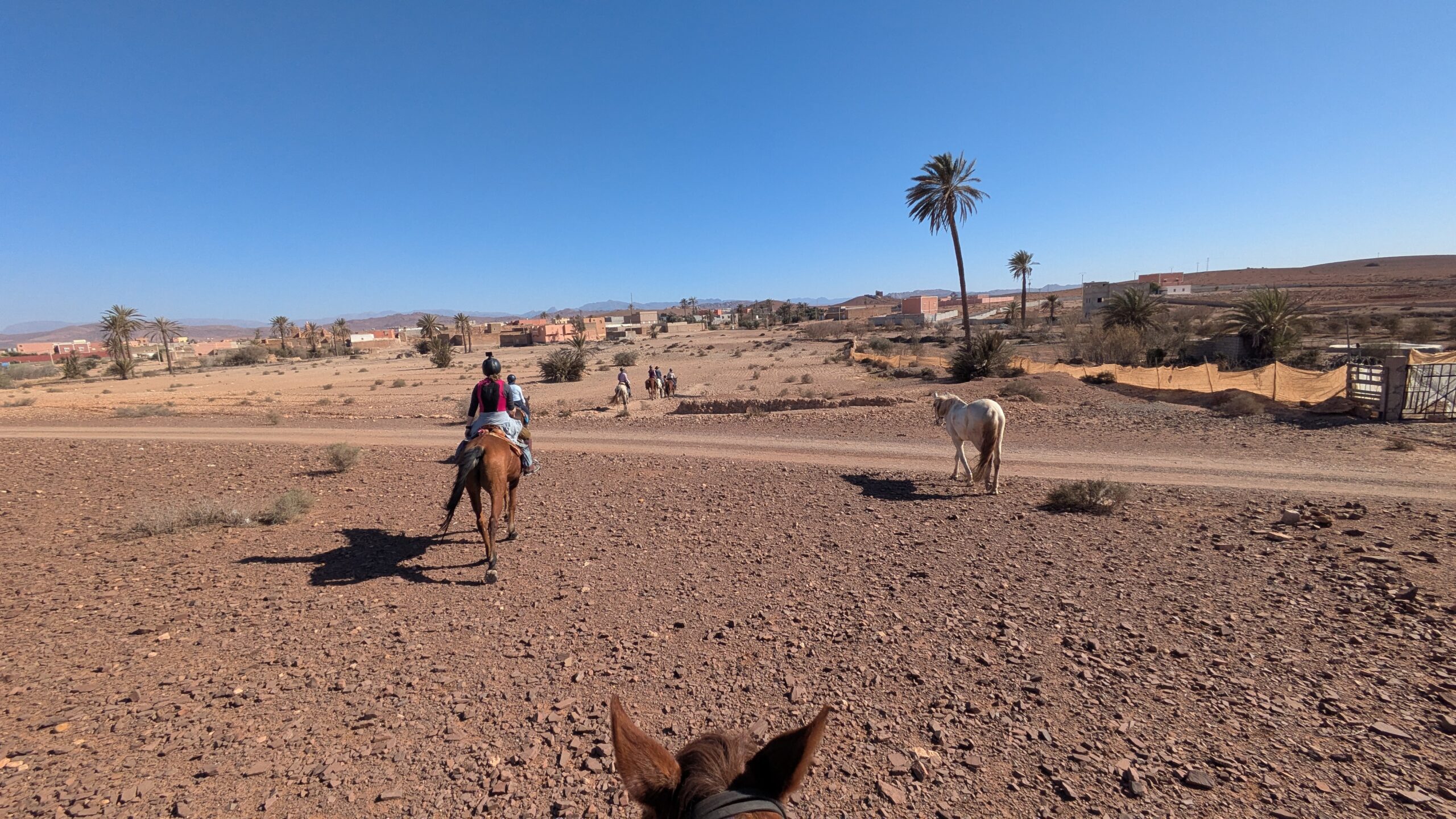 Wanderritt in Marokko – 220 km Reitabenteuer in der Wüste südlich von Agadir