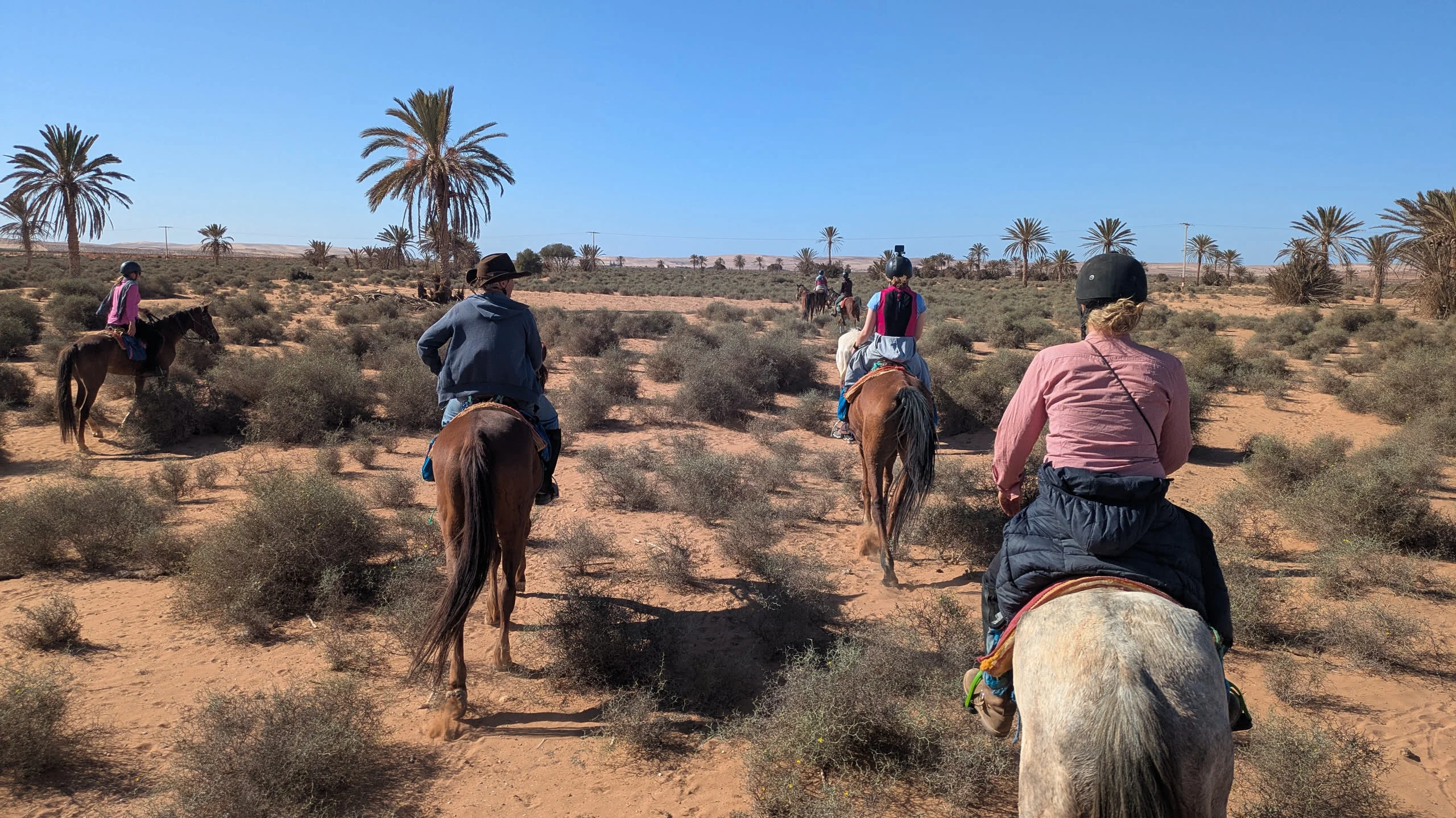 Wanderritt in Marokko – Tag 5