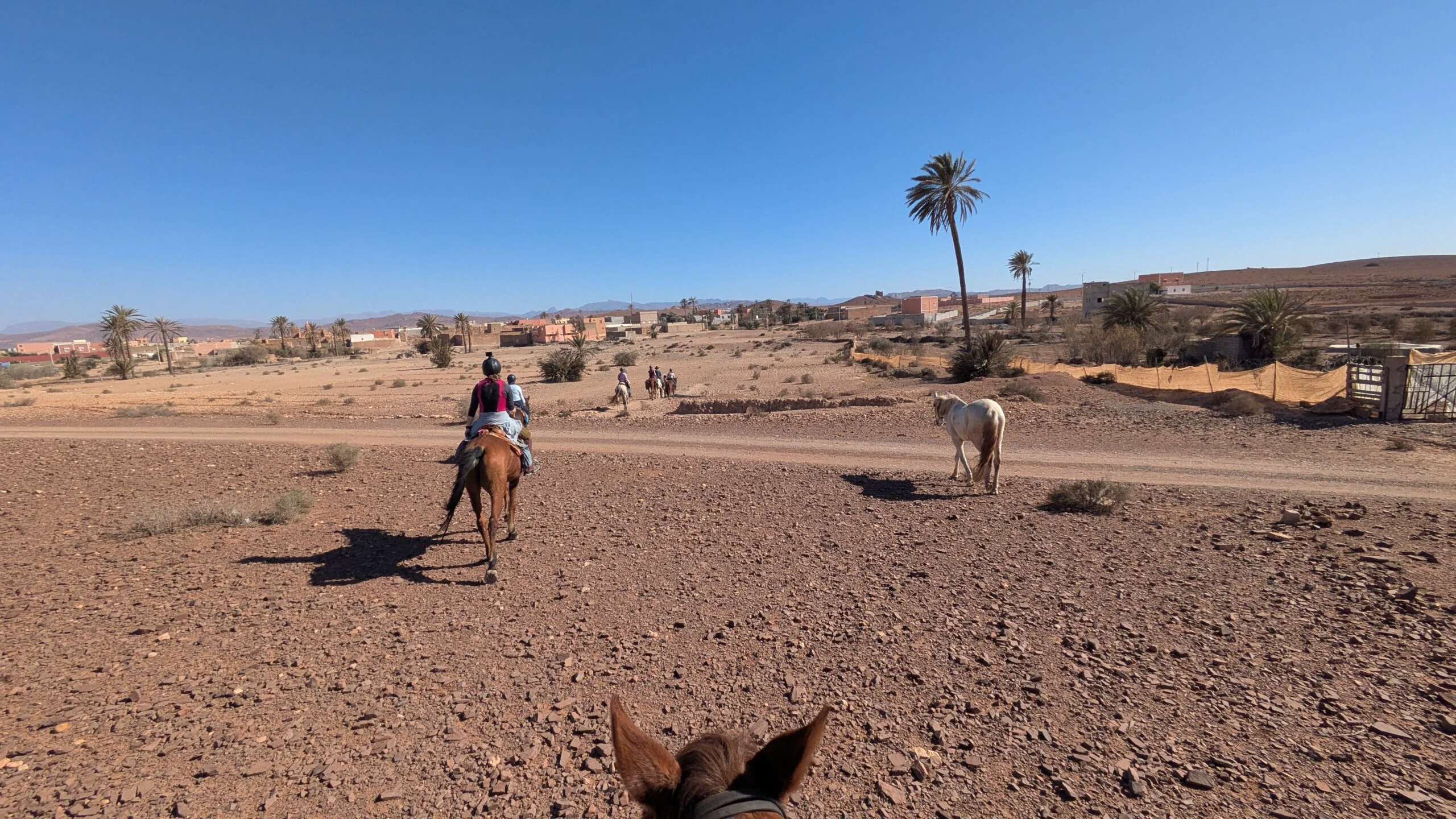 Wanderritt in Marokko – 220 km Reitabenteuer in der Wüste südlich von Agadir
