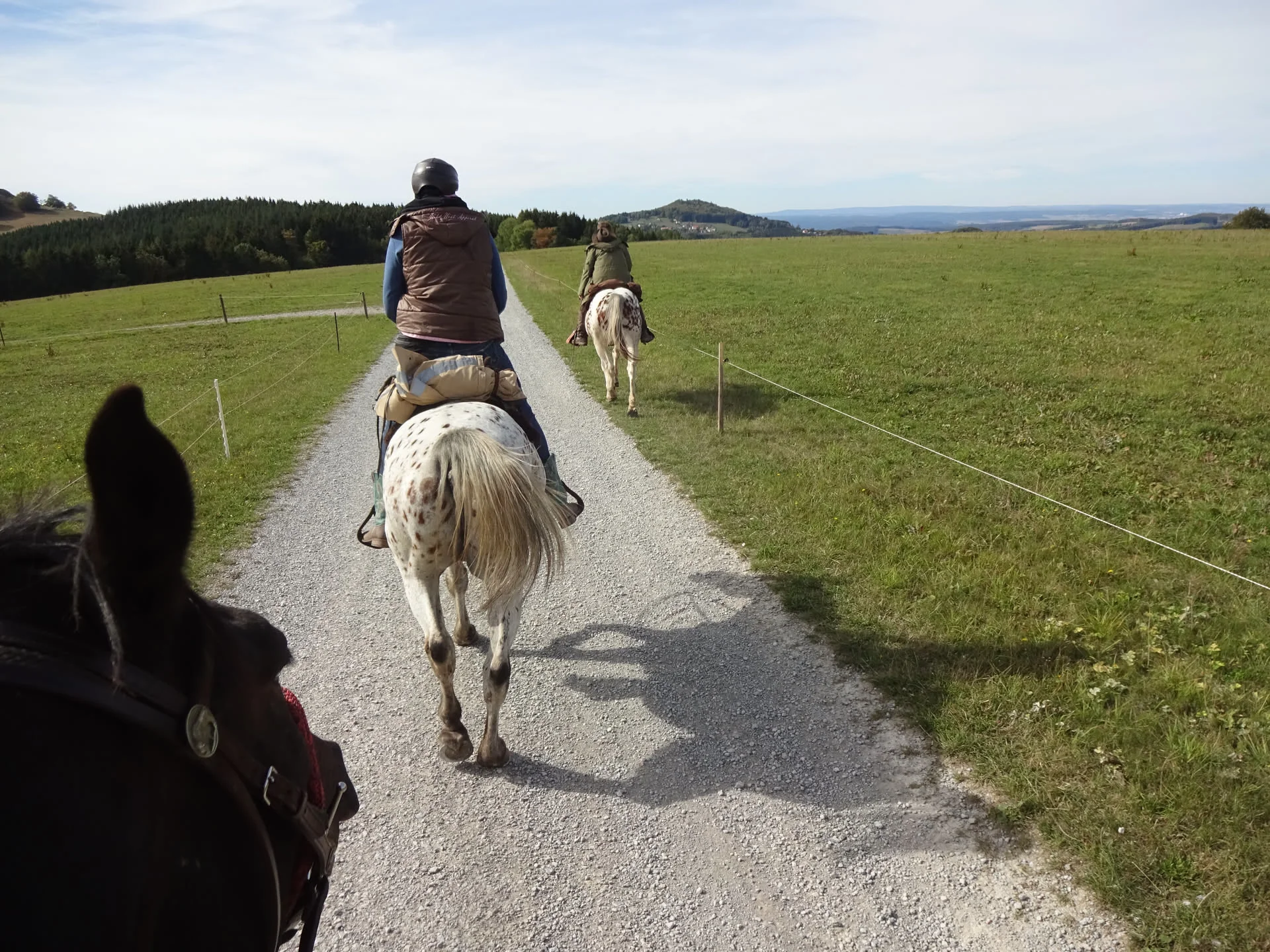 Das Scha(r)fe Genusserlebnis | Tag 3