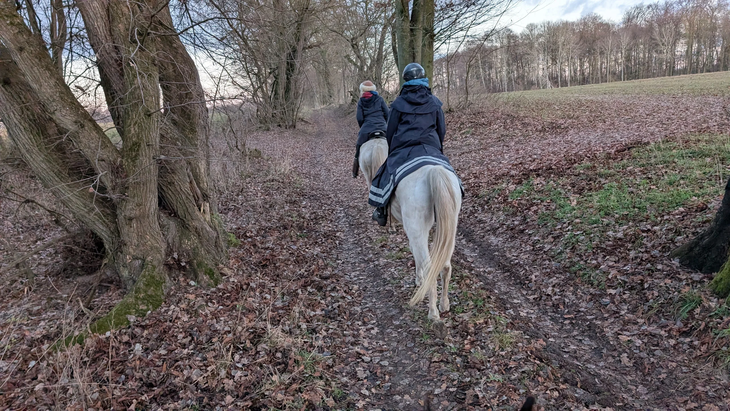 Wintersternritt in Brandenburg – Tag 1