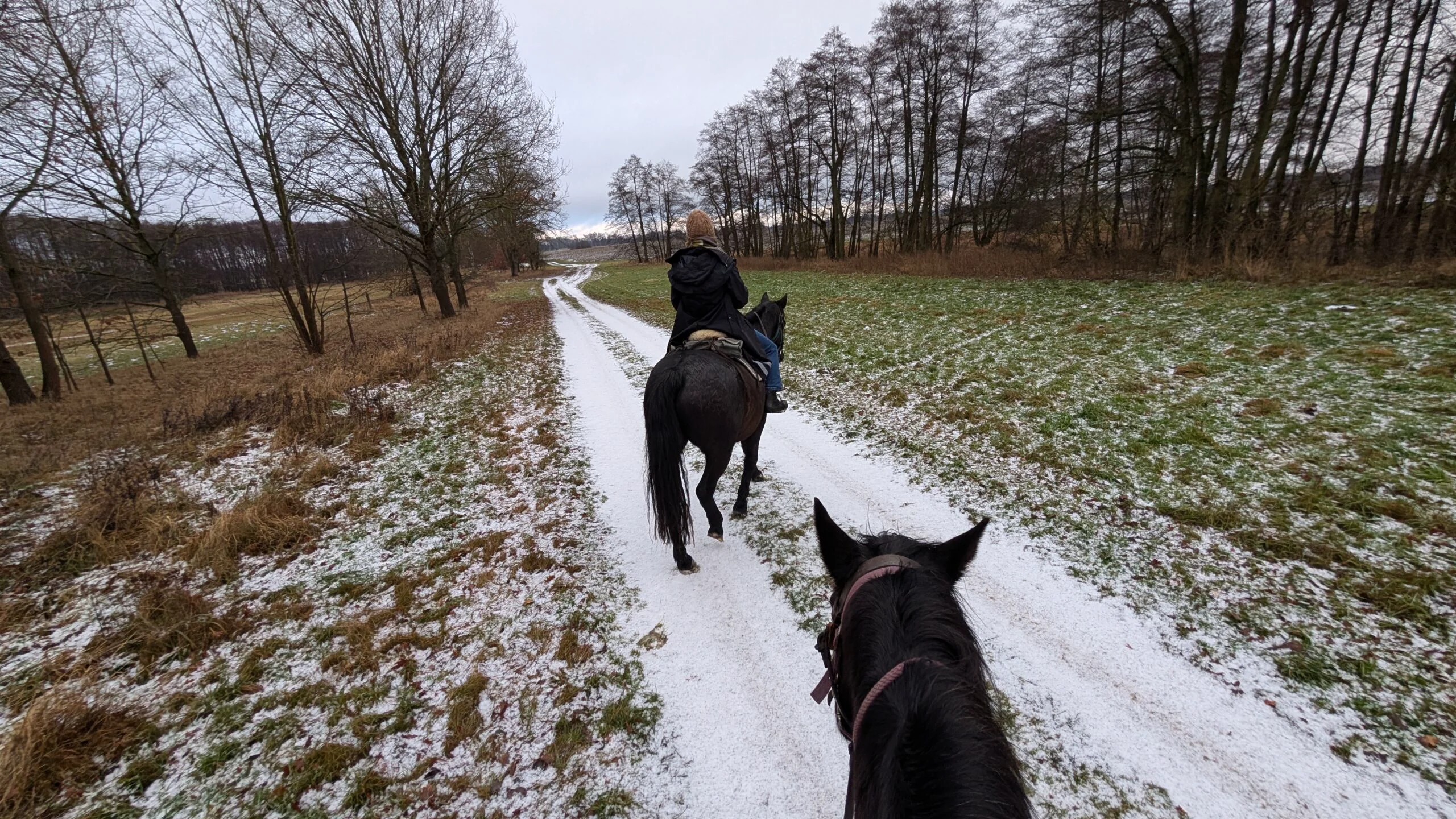 Wintersternritt in Brandenburg – Tag 2