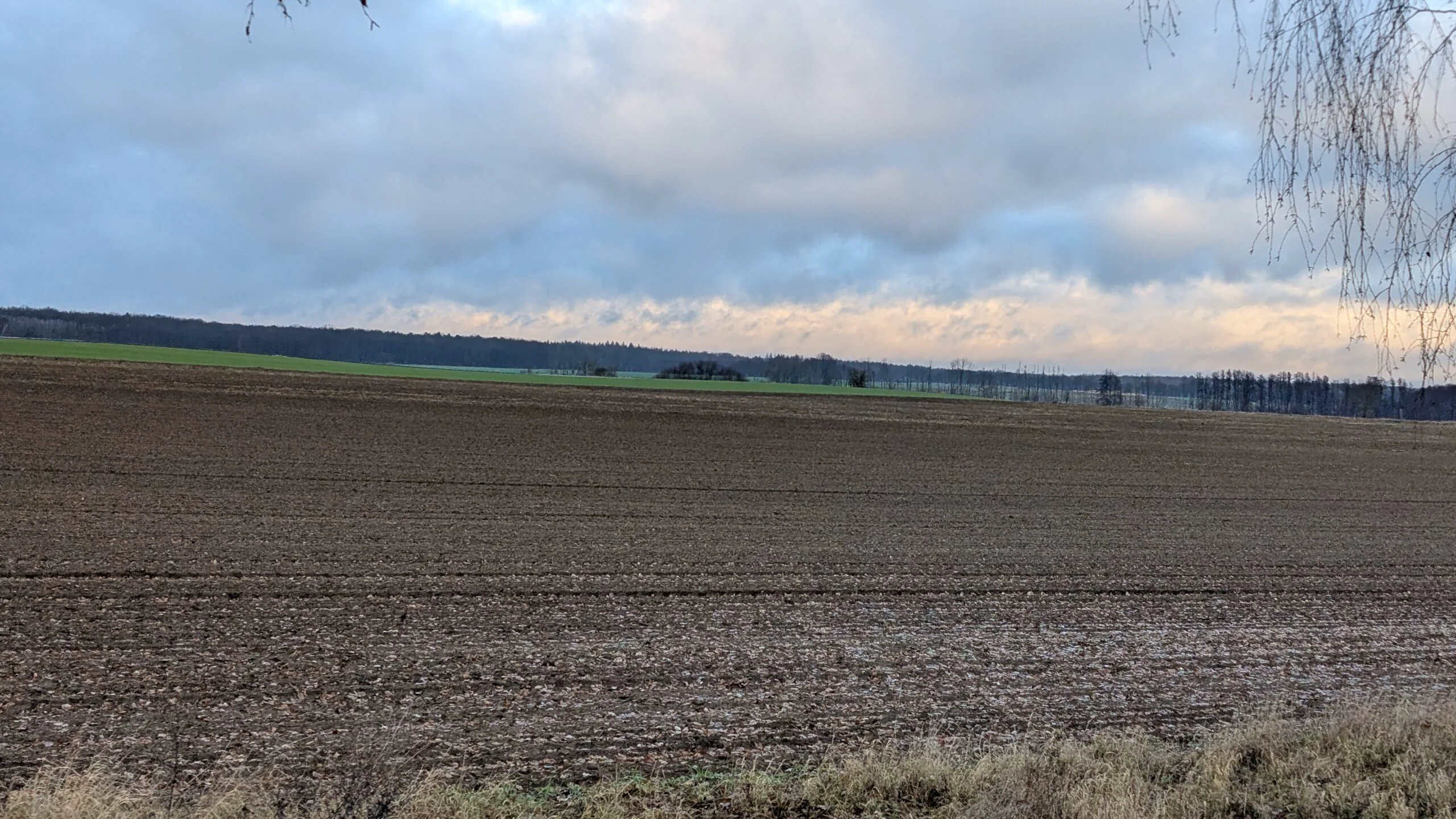 Wintersternritt in Brandenburg – Tag 3
