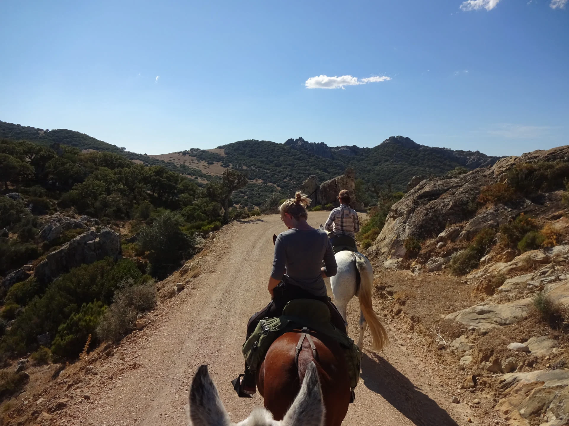 Rondatrail Andalusien – der Film zum Ritt an den Atlantik