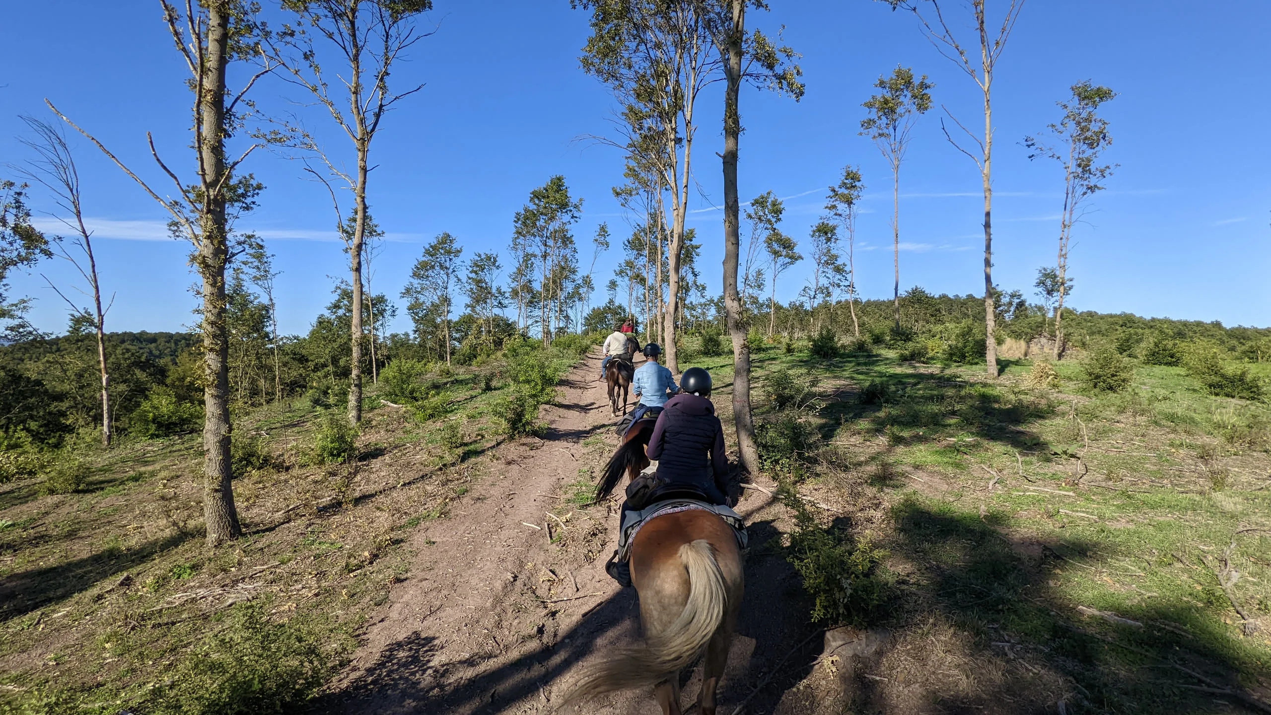 Wanderritt Toskana – Tag 5