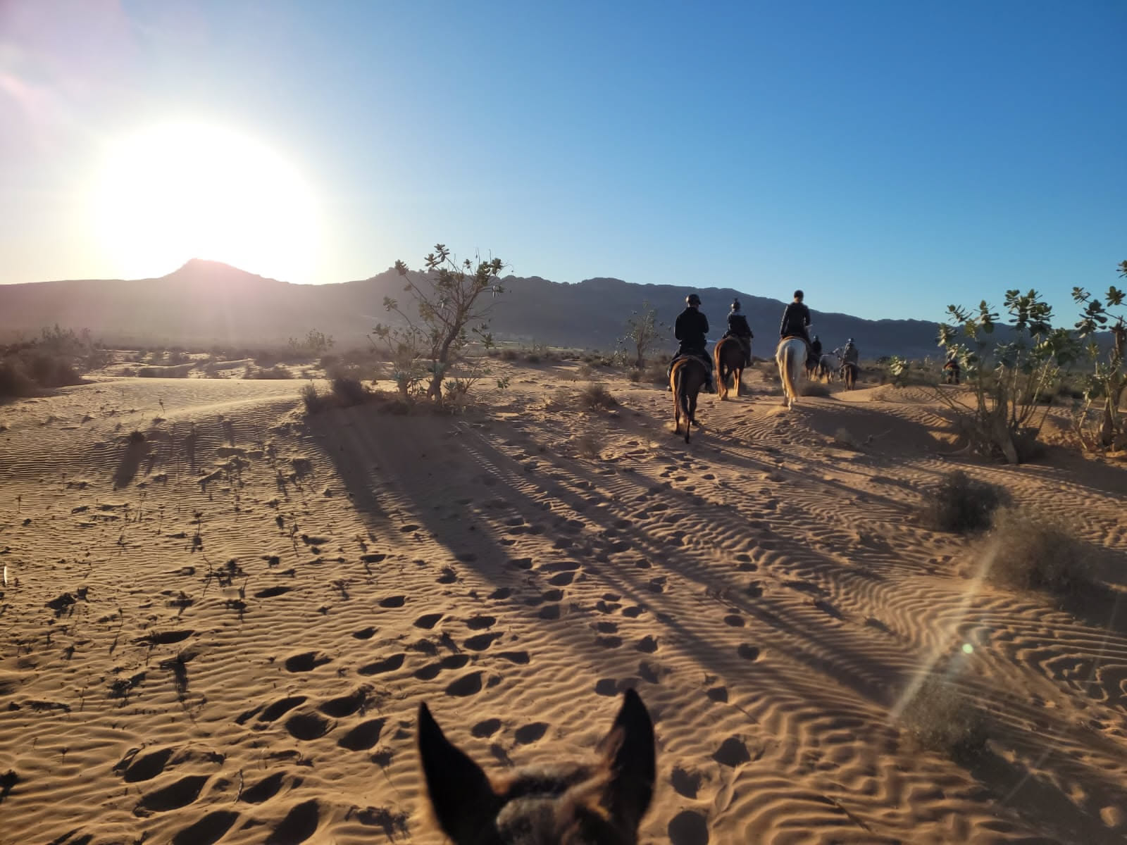 Souss-Massa – zwischen Atlantik, Oued Massa und Anti-Atlas