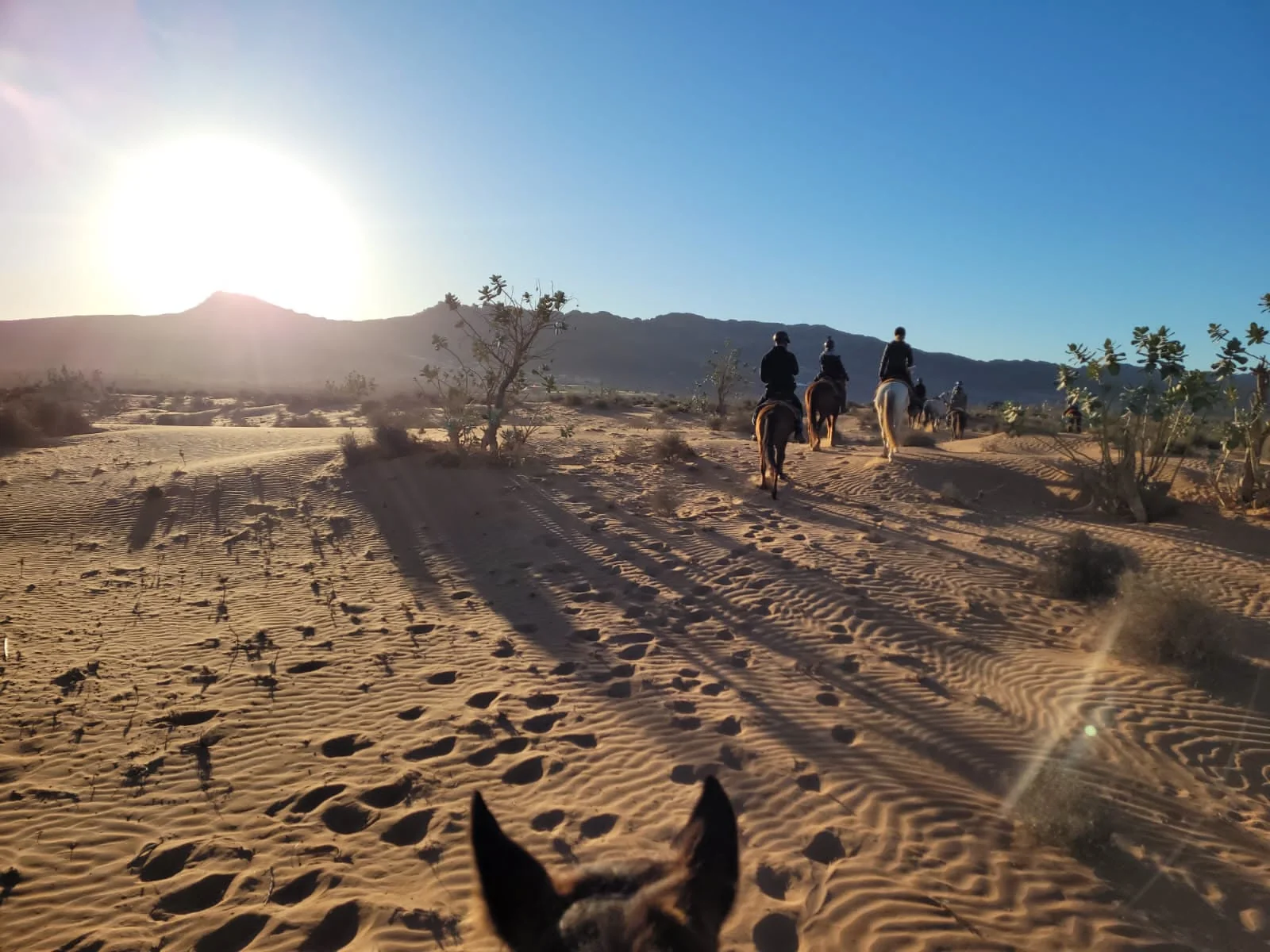 Souss-Massa – zwischen Atlantik, Oued Massa und Anti-Atlas